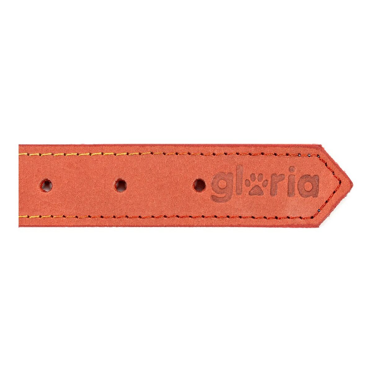 Collar para Perro Gloria Oasis Rojo (50 x 2,1 cm)